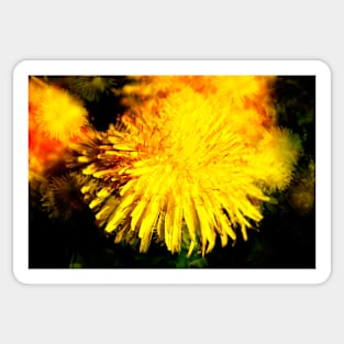 Dandelion blossom, abstract, macro shot, dandelion, flower Sticker